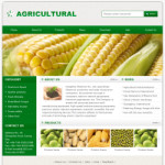 农业公司网站8105(英文)(宽屏)