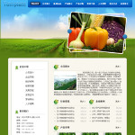 蔬菜公司网站5019