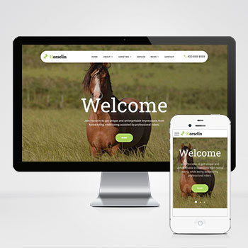 (自适应手机端)养马场畜牧业英文网站模板 马匹饲养养殖场网站模板